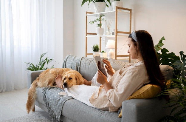 Wall Mounted Electric Heaters to Keep Your Furry Friends Cozy and Content
