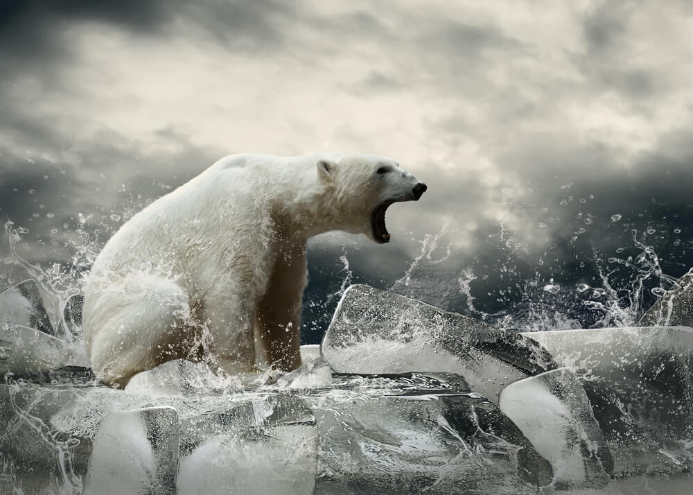 Climate Change: The Cold Hard Math