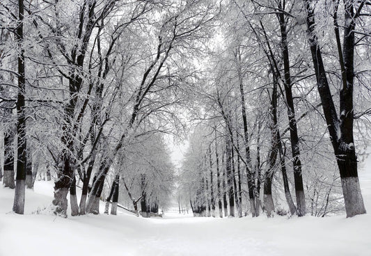 White Christmas in California