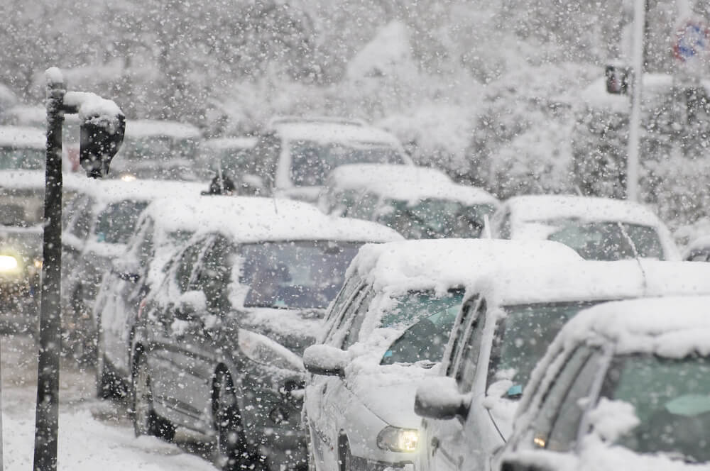 California Winter: Season of Uncertainty