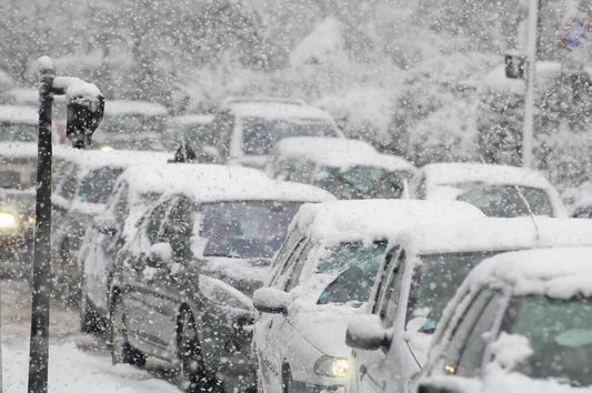 California Winter: Season of Uncertainty