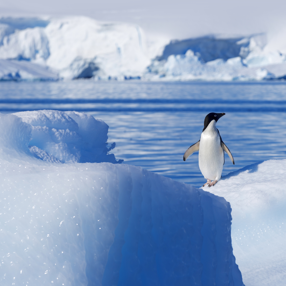 Gaining Ice: NASA’s New Report On The Antarctic - eheat, Inc.
